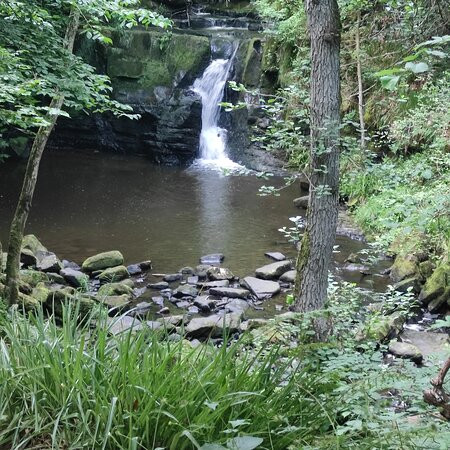 Hareshaw Linn Walk-Bellingham必去景点