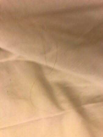 Red Roof Inn Detroit - Troy主图