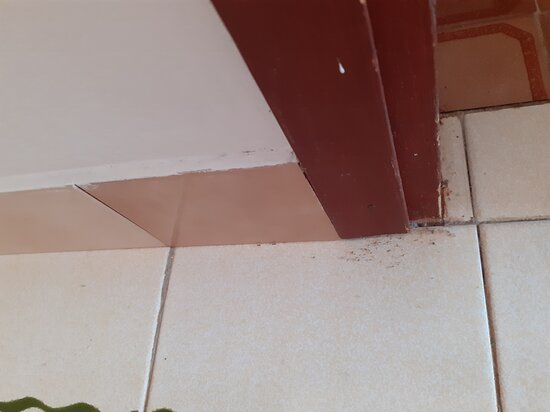 Picic Guesthouse-客卧