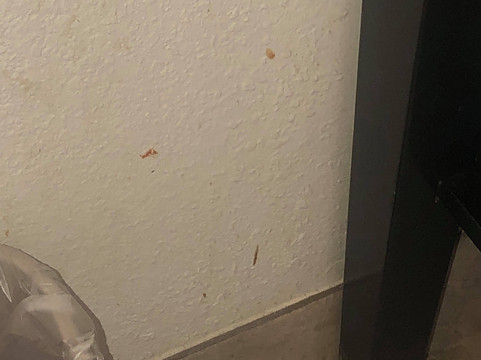 蓝松鸦套房酒店