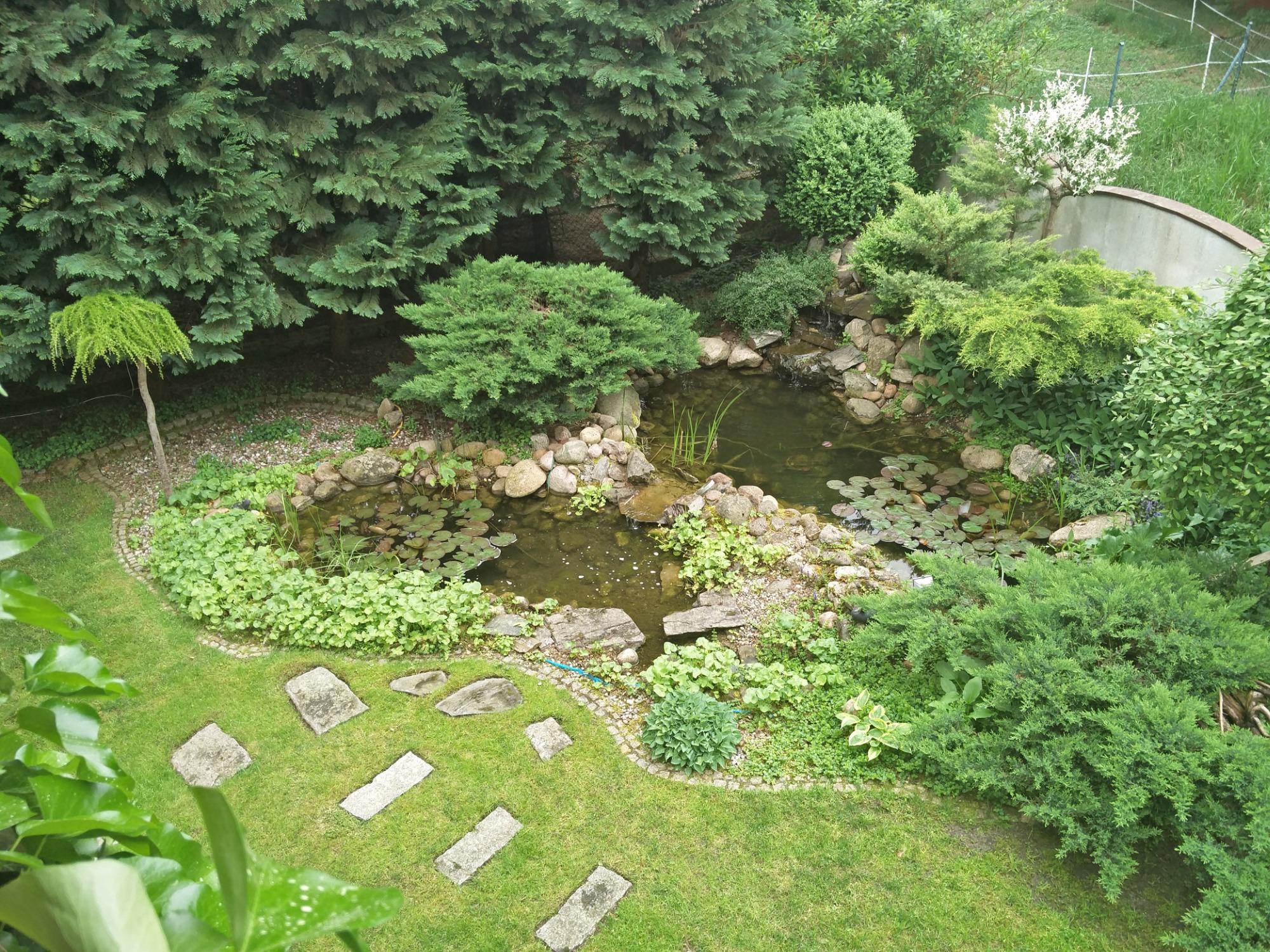 Hotelik Gosciniec Pod Sosnami Drzonkow-酒店景观