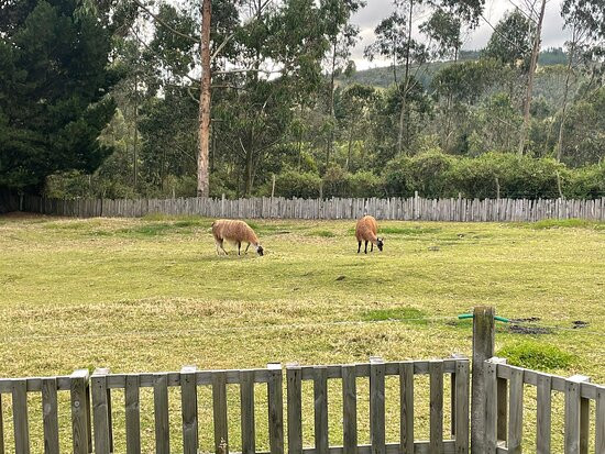 Hotel Cuello de Luna主图