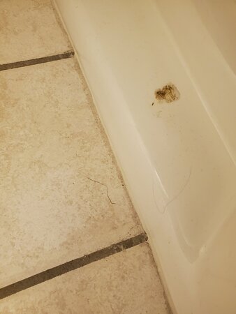 Quality Inn & Suites Lake Havasu City-浴室