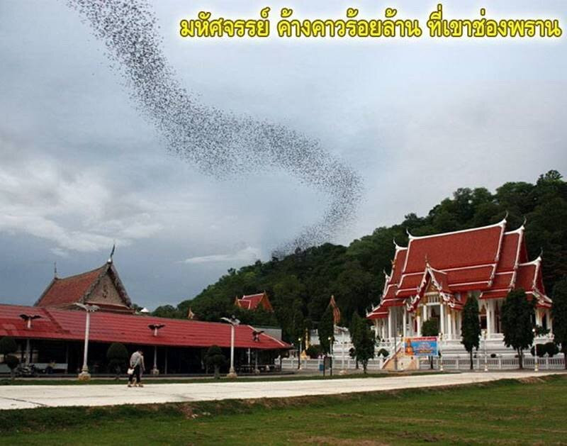 Bat Cave at Wat Khao Chong Pran景点图片