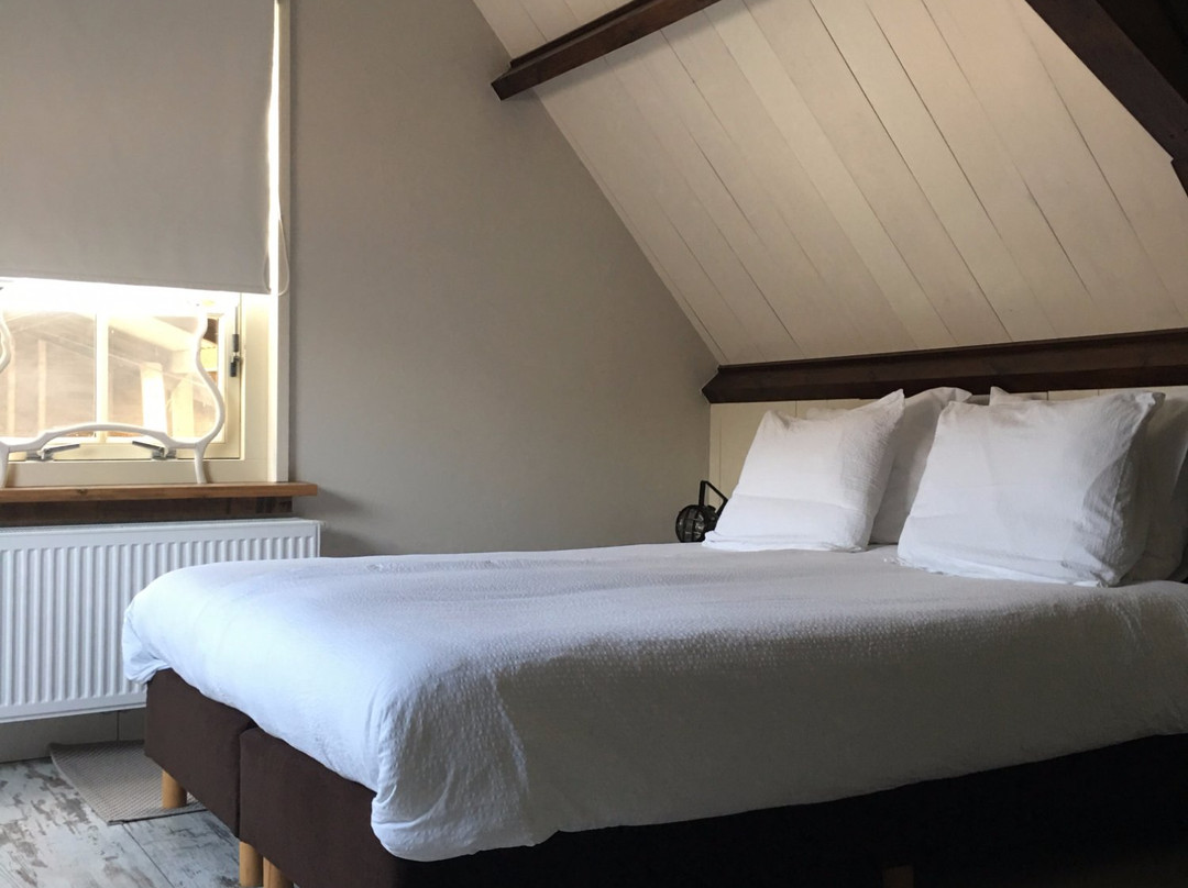 Boerderij Honswijck主图