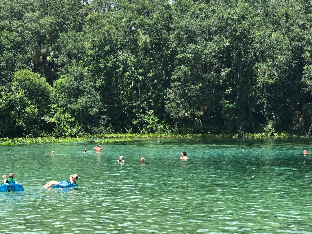 Alexander Springs Recreation Area
