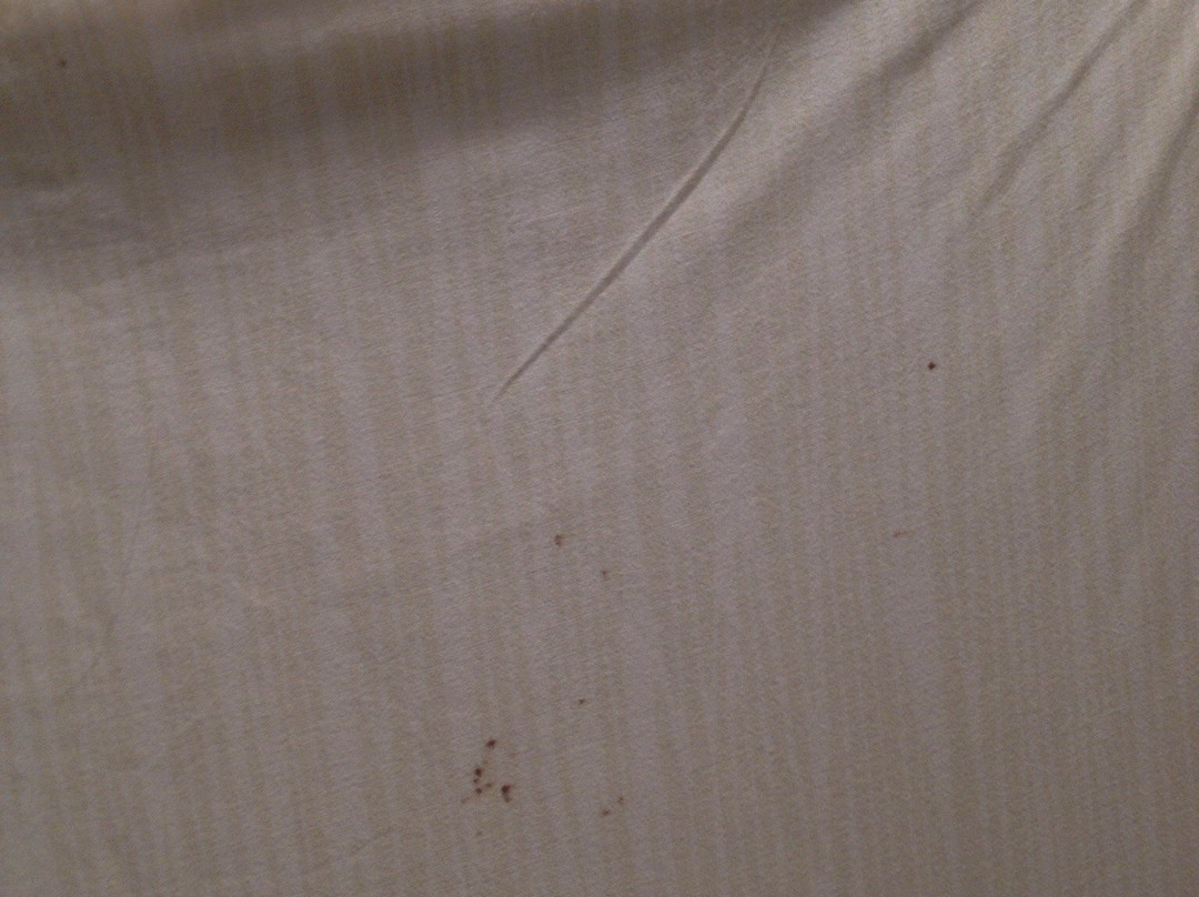 Hotel Restaurant Le Week-End主图