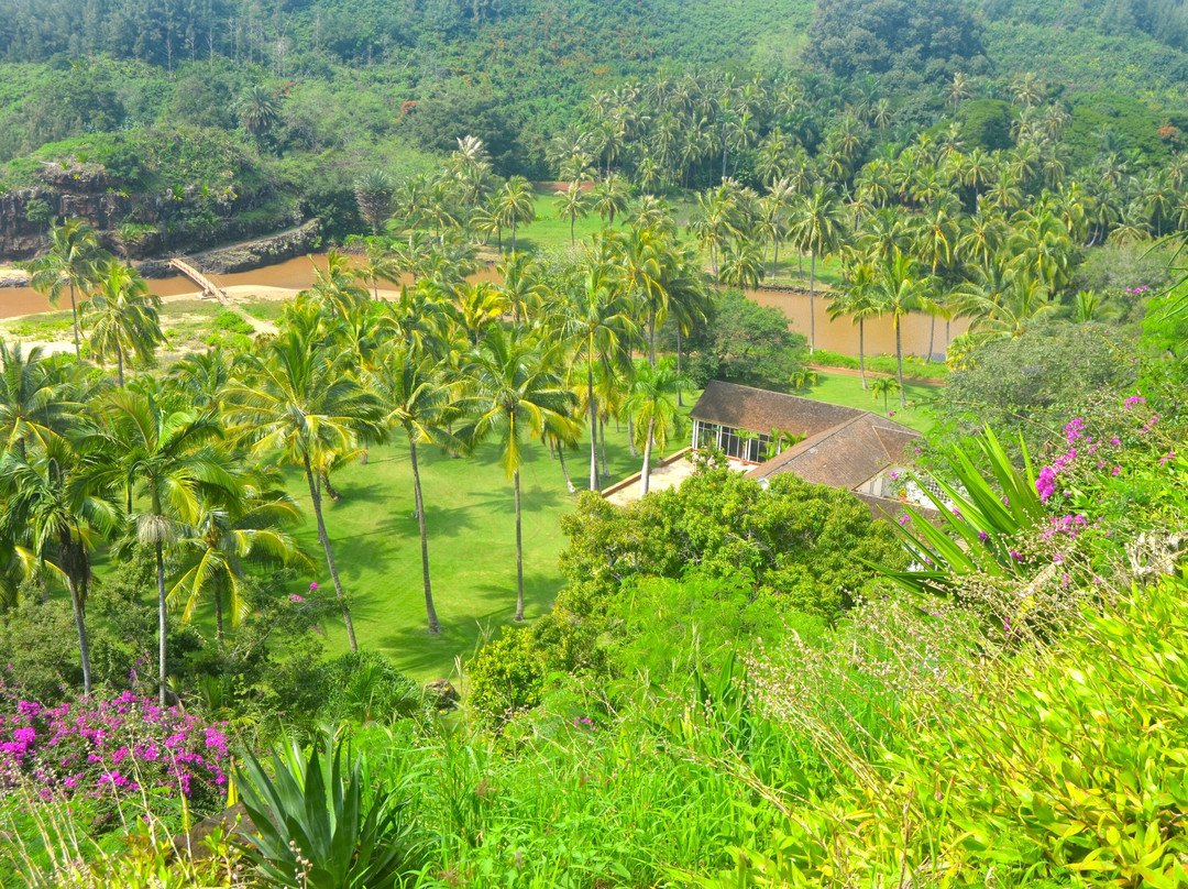 National Tropical Botanical Gardens景点图片