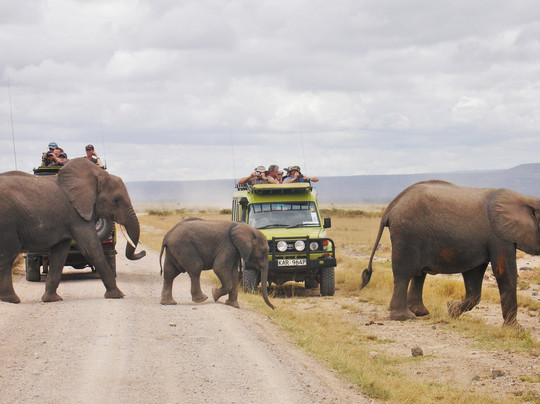 Milana Tours and Safaris