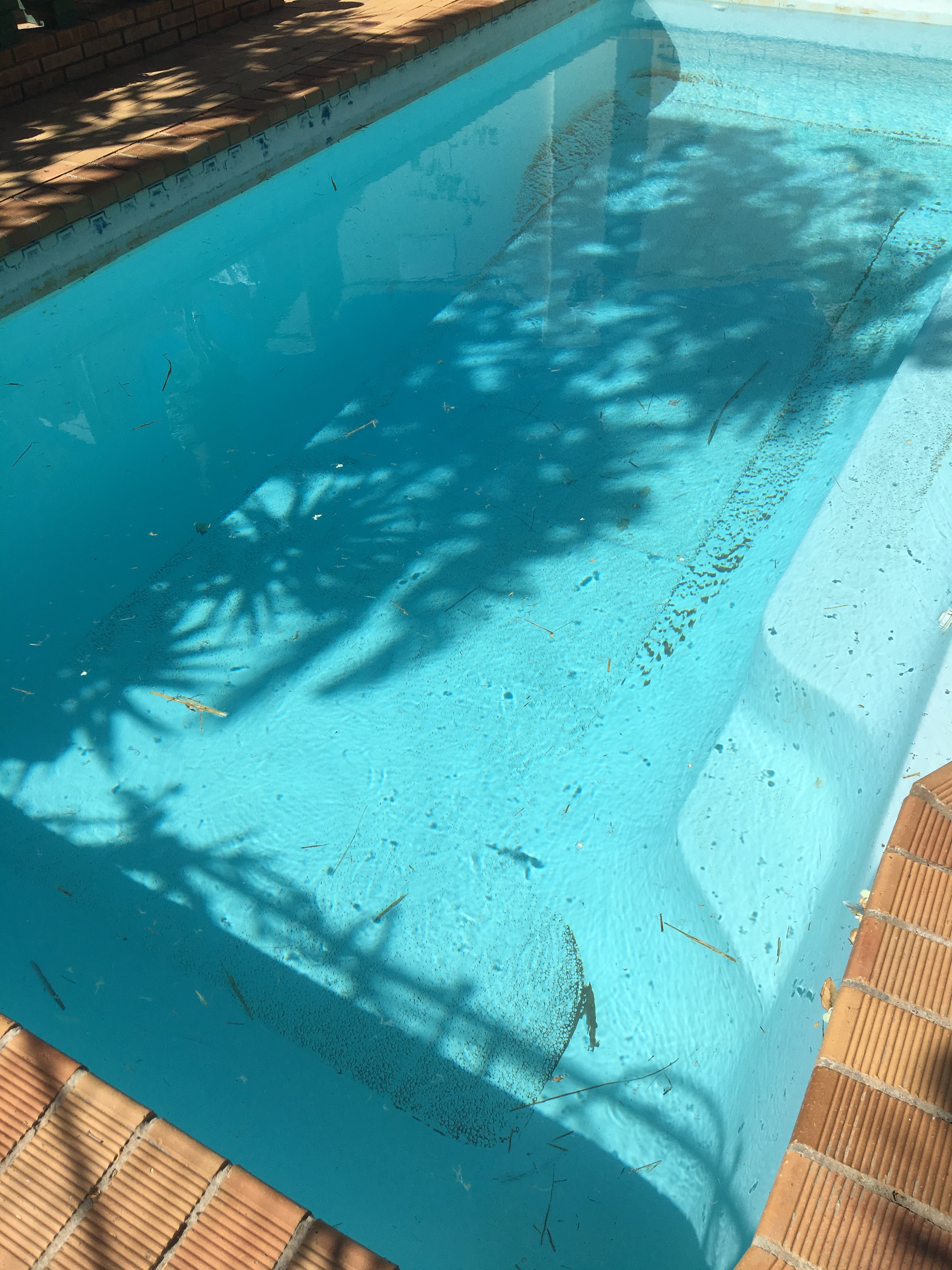 Annette Guesthouse-官方