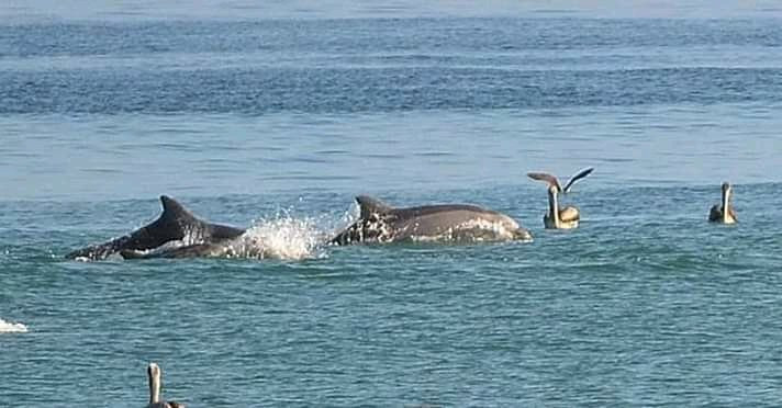 Punta Mero Suites and Resort主图