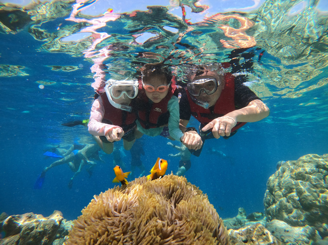 iCom Tours - Private Day Tours-马富士岛必去景点