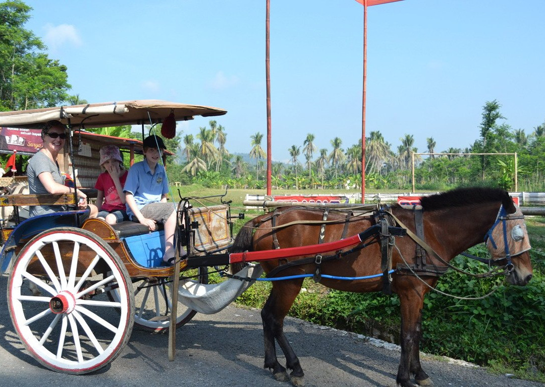 Borobudur Village Trip景点图片