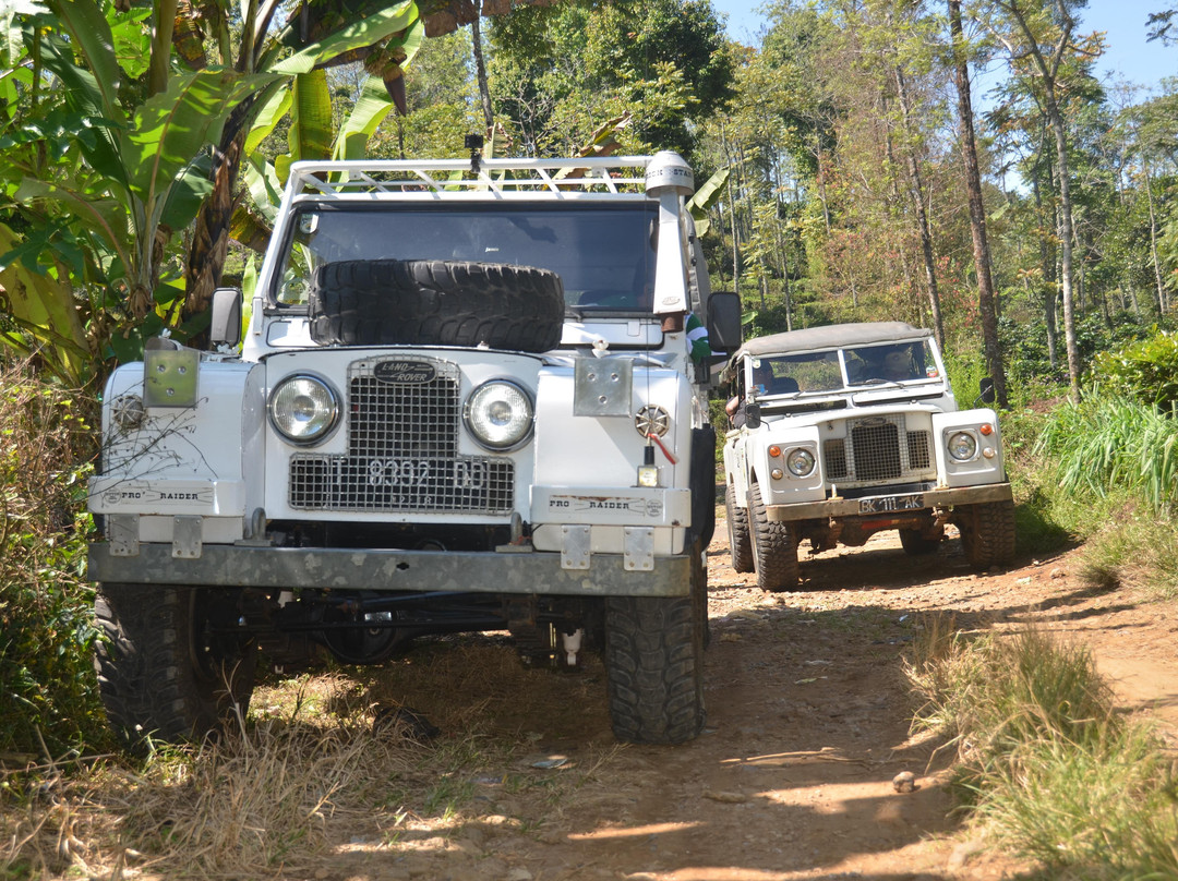 Sabana Coffee Adventure