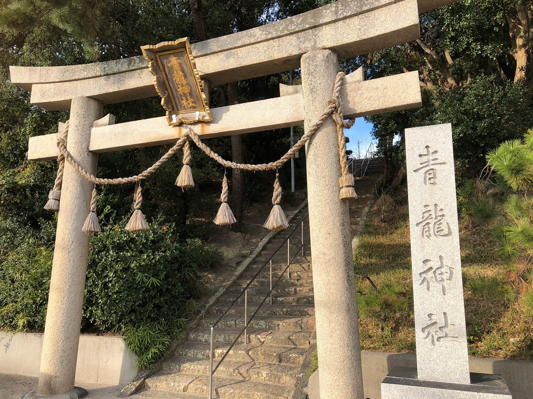 Seiryu Shrine景点图片