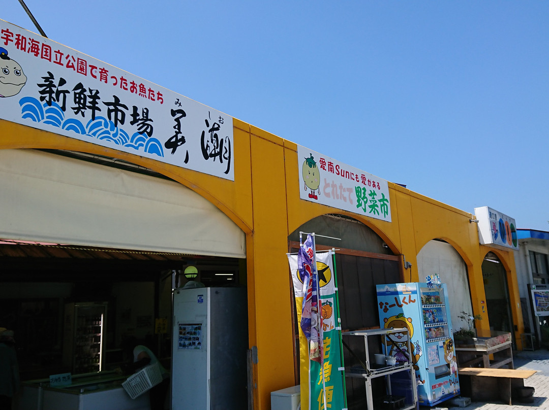 Misho MIC Roadside Station-爱南町必去景点
