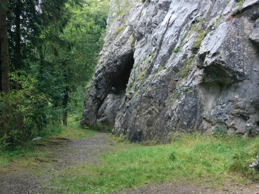 Grottes De Goyet景点图片