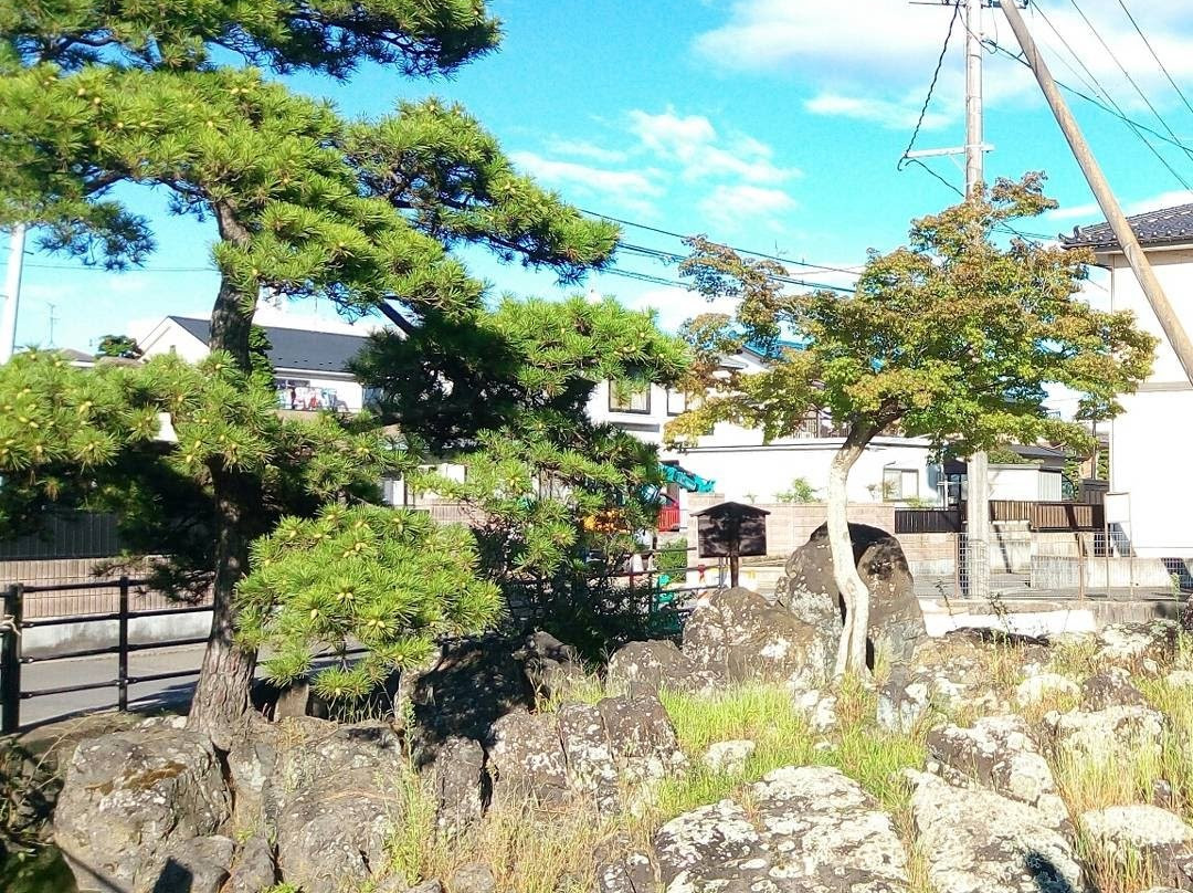 null-多贺城市