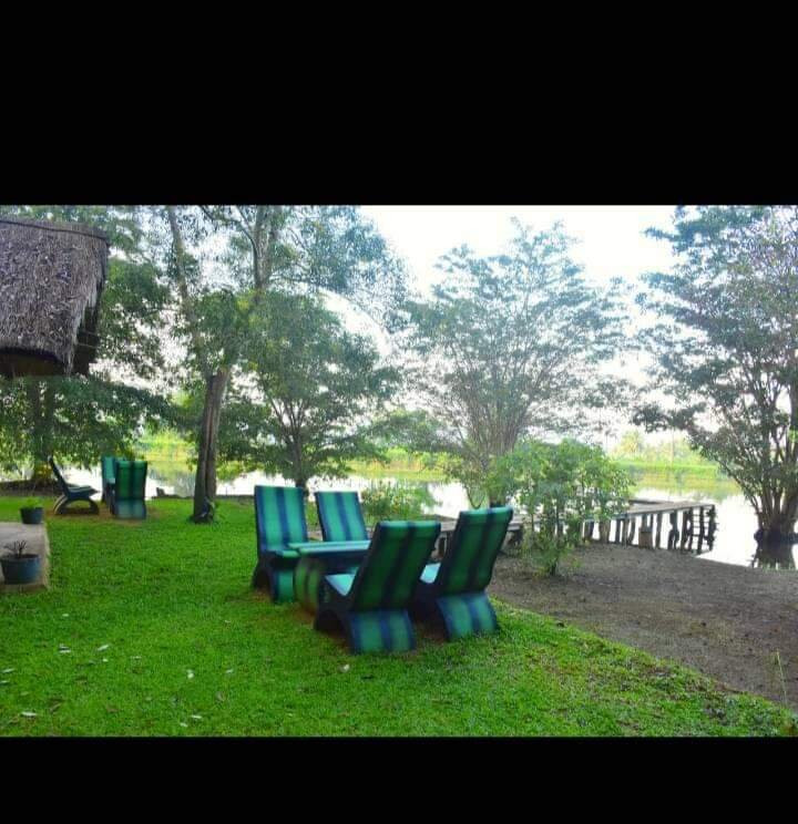 乌达瓦拉维国家公园-乌达瓦拉维国家公园必去景点