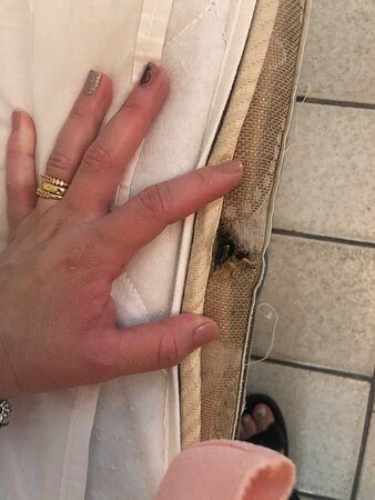 Calhau Praia Hotel主图