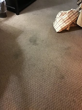 Saxony Motel & Restaurant主图