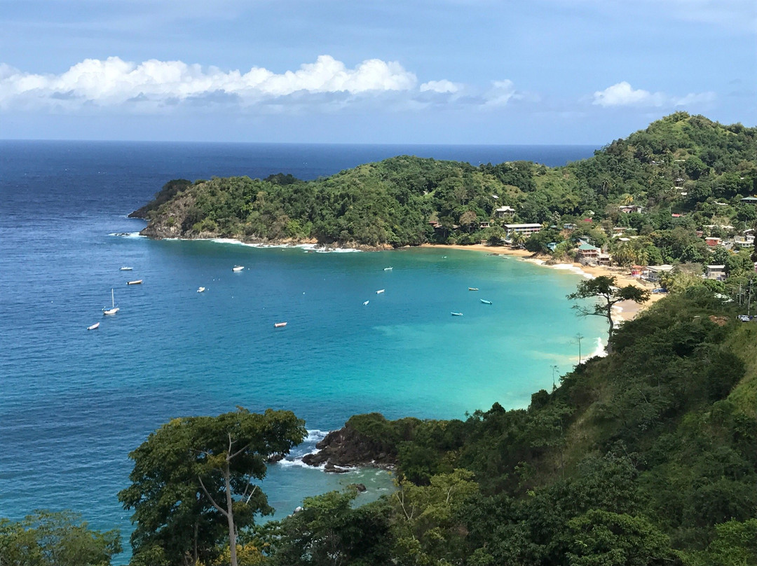 多巴哥旅游攻略图片