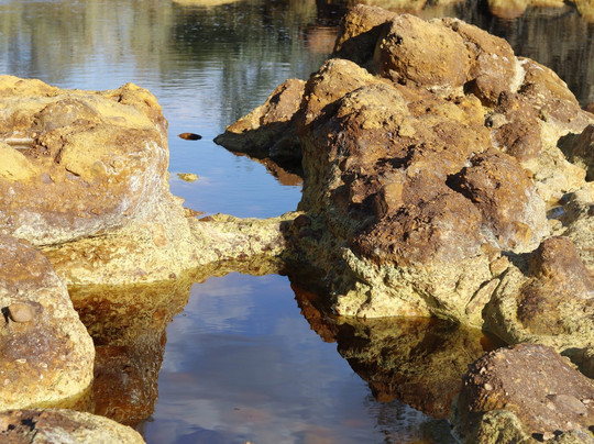 Niebla旅游攻略图片