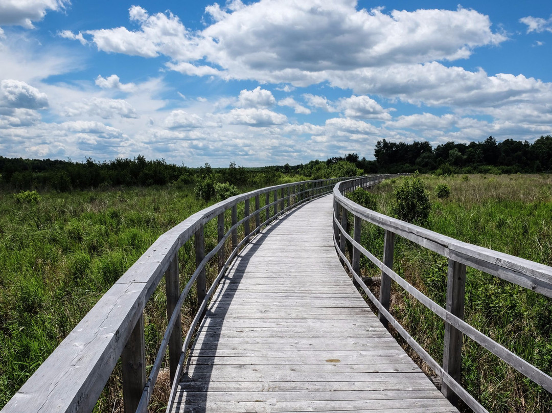 Fort Covington旅游景点-Cooper Marsh Conservation Area