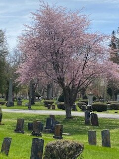 Laurel Hill Cemetery景点图片