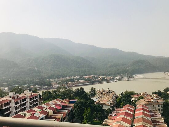 Golden Healing Journeys主图