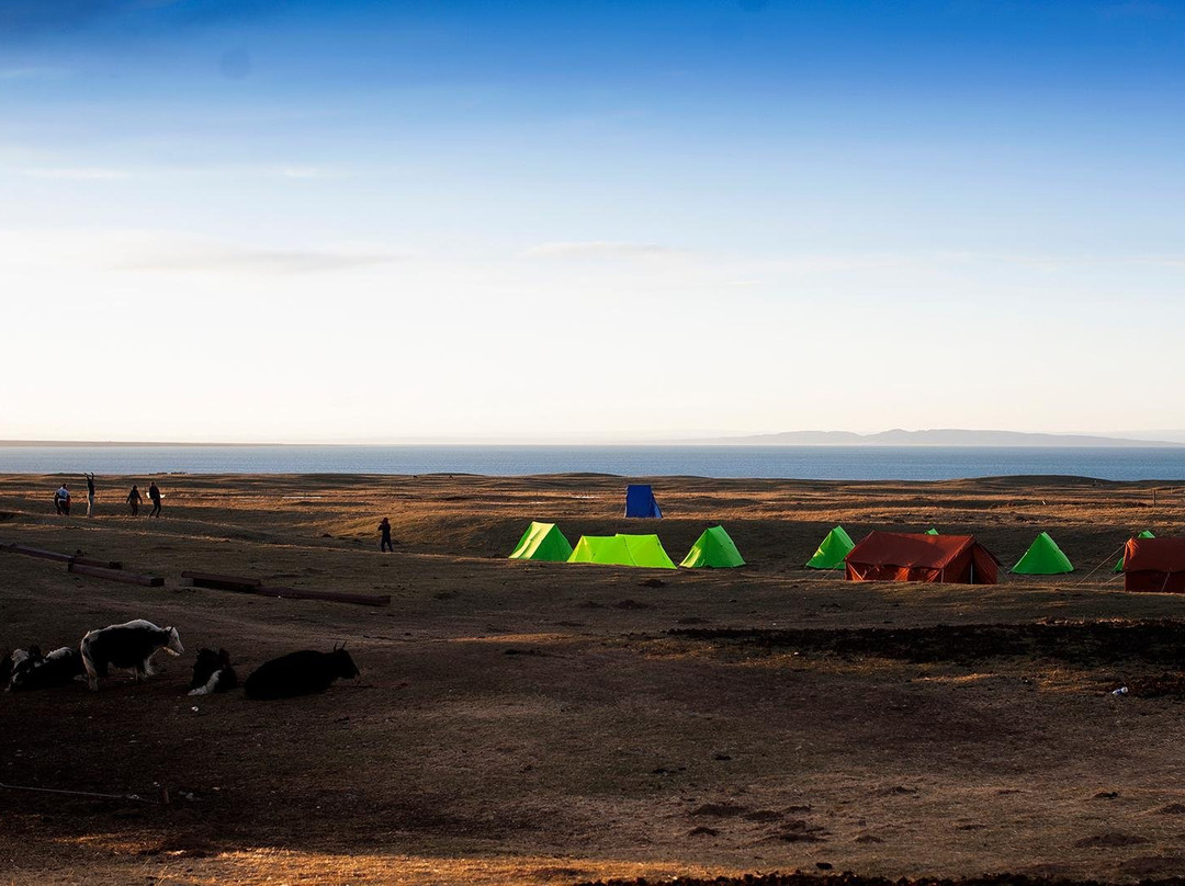 Qinghai Lake Eco-Tour