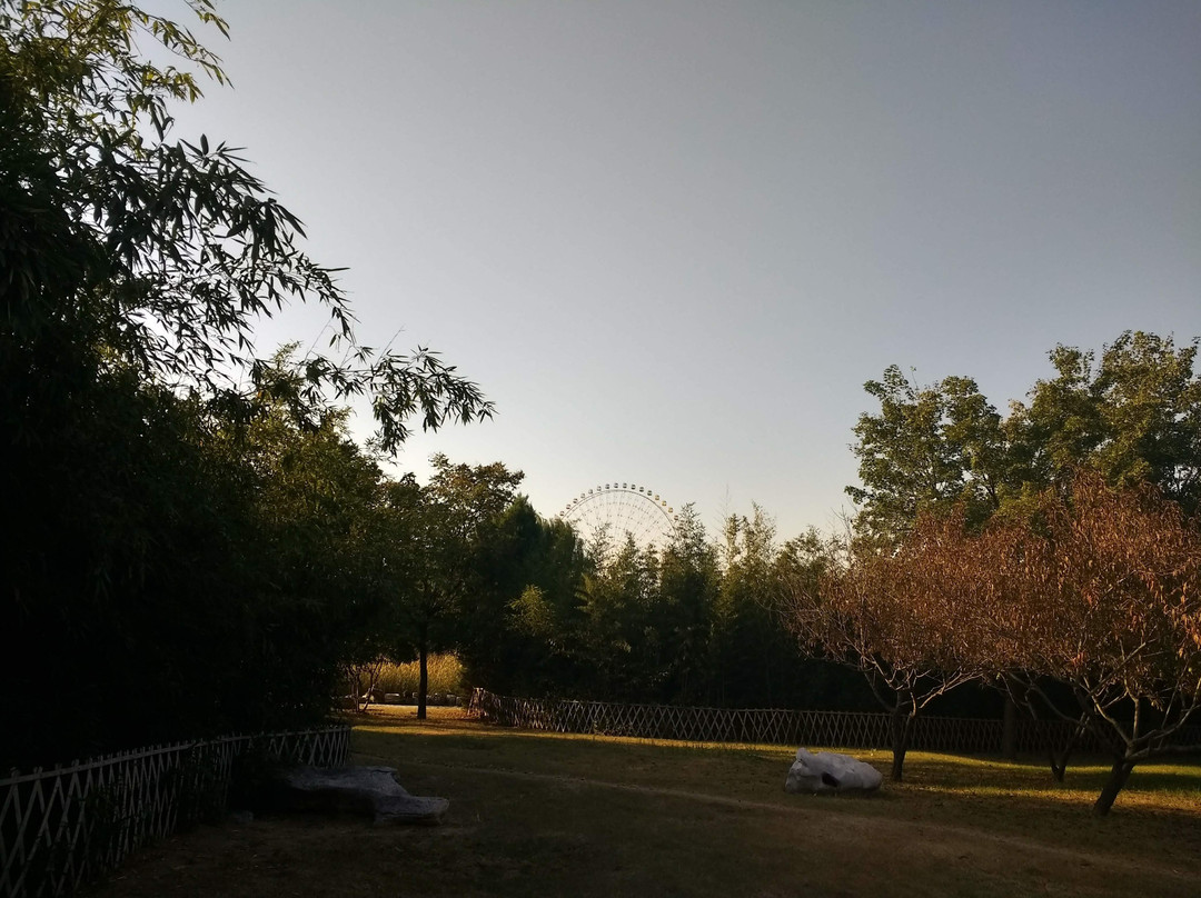 保定市旅游景点-保定植物园