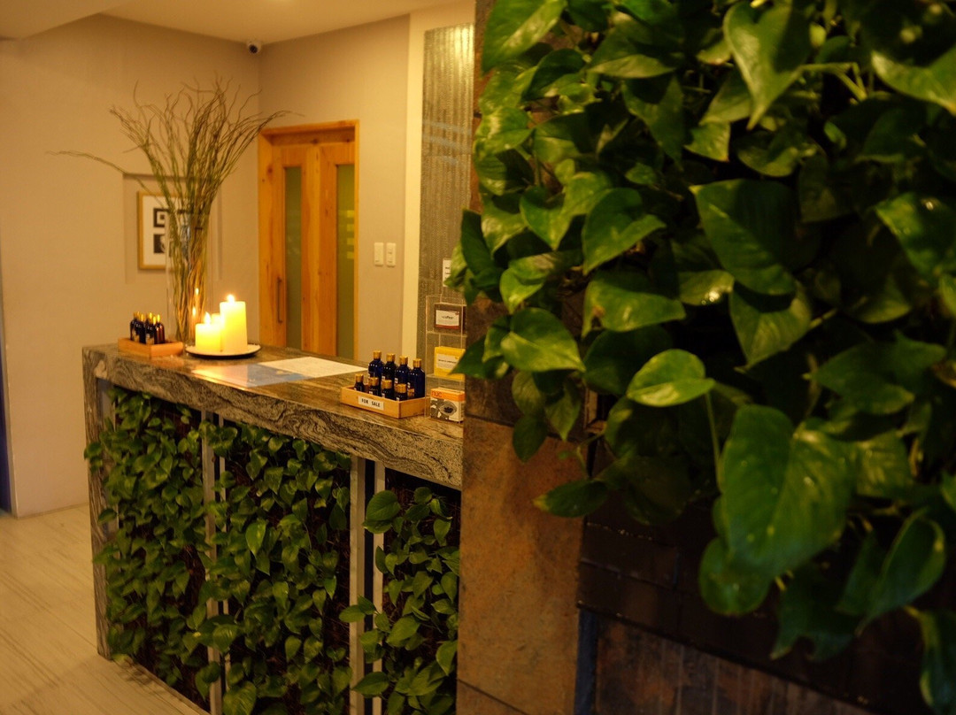 Medi Spa-宿雾市必去景点