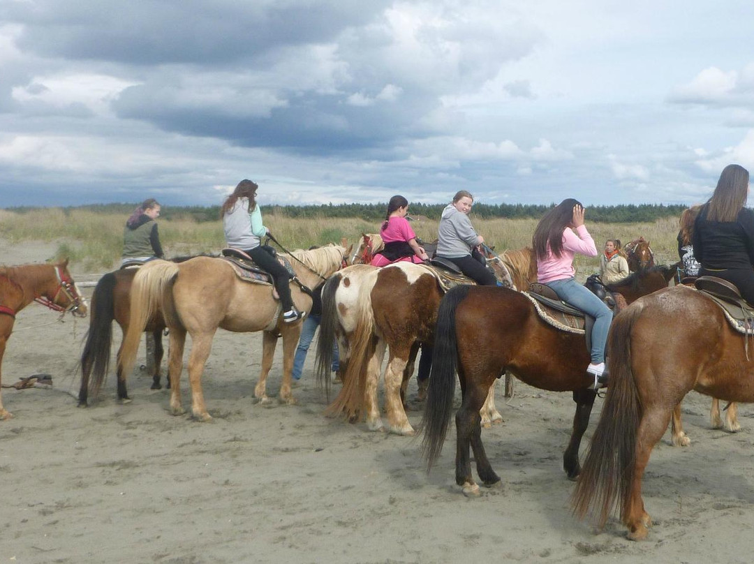 Chenois Creek Horse Ranch景点图片