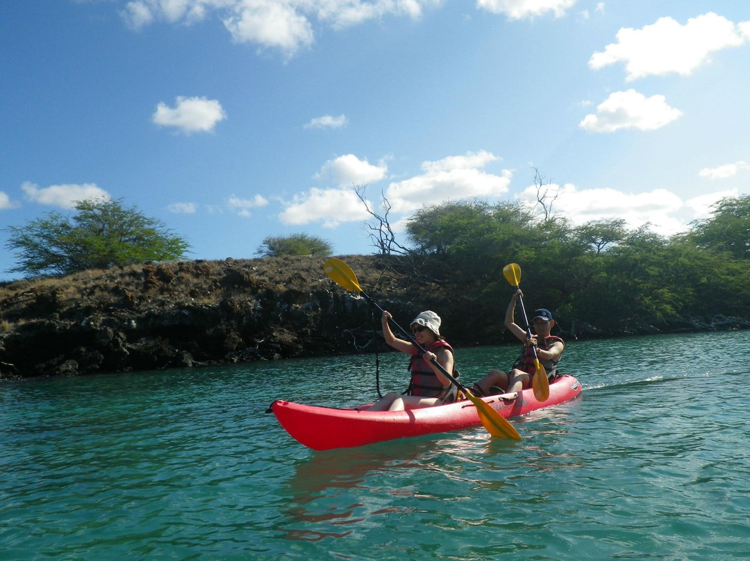 King Kayak Hawaii景点图片