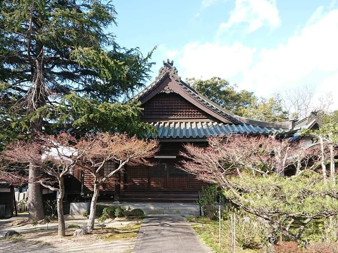 Dairyu-ji景点图片