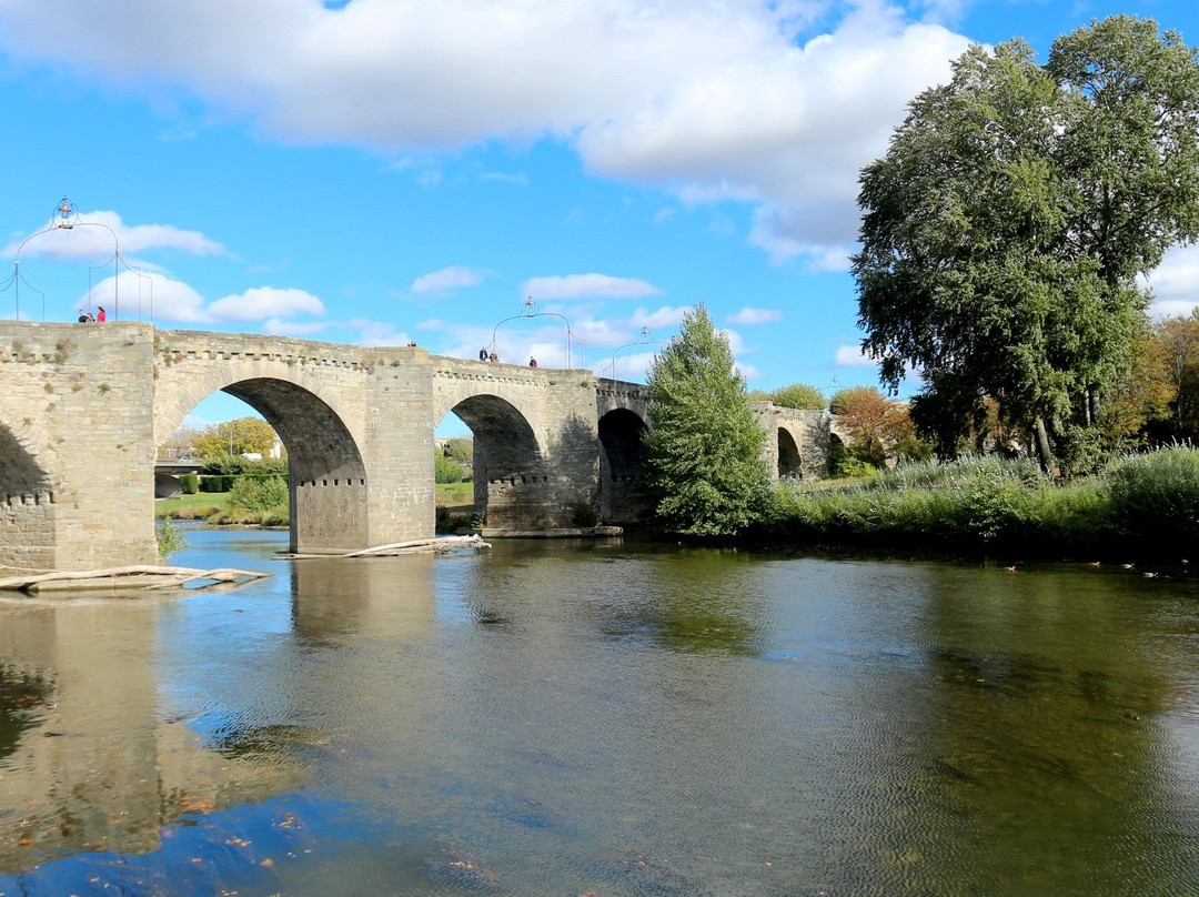 Le Pont Vieux (The Old Bridge)景点图片