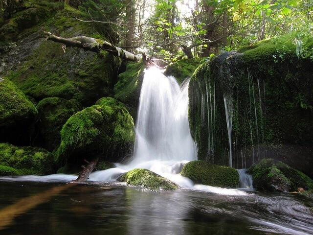 Mossy Fall景点图片