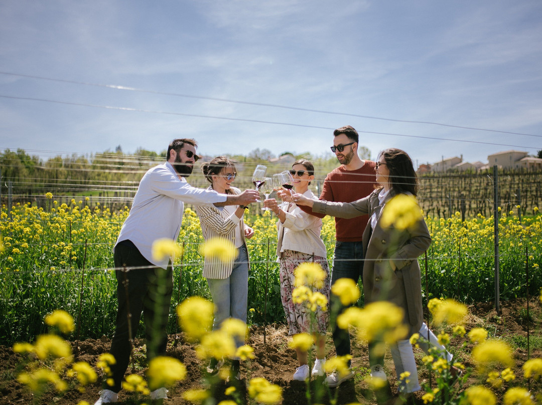 Not Another Wine Tour Istria