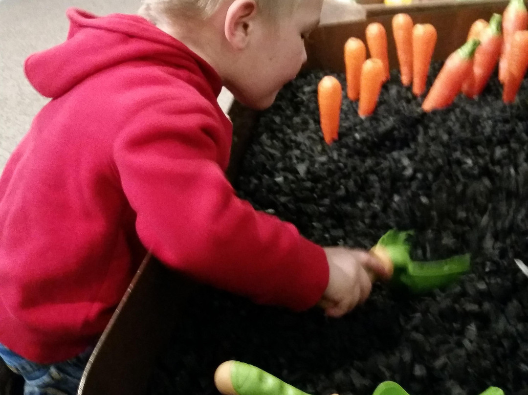 Waterloo旅游景点-Phelps Youth Pavilion