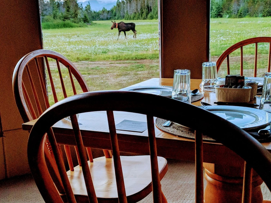 古斯塔夫斯餐馆和美食-Glacier Bay Country Inn Restaurant