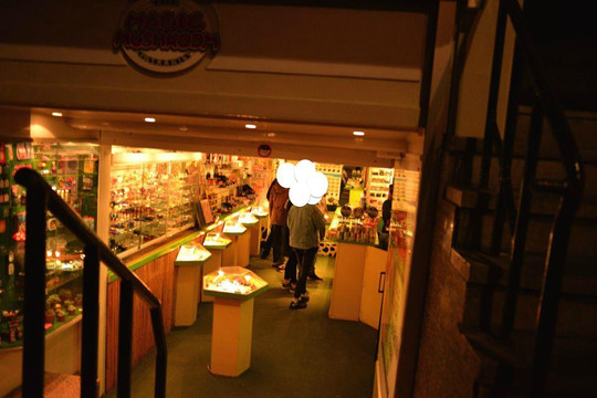 The Magic Mushroom Gallery-阿姆斯特丹必去景点