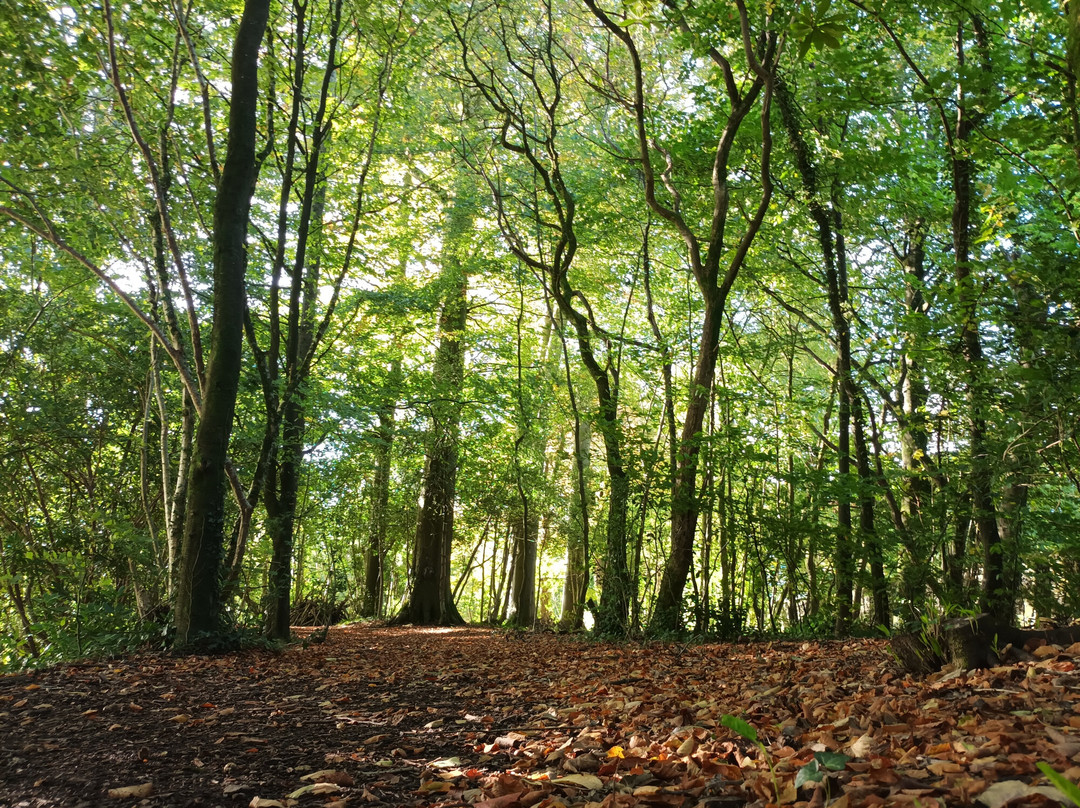 Parc Yr Esgob - The Bishop's Park