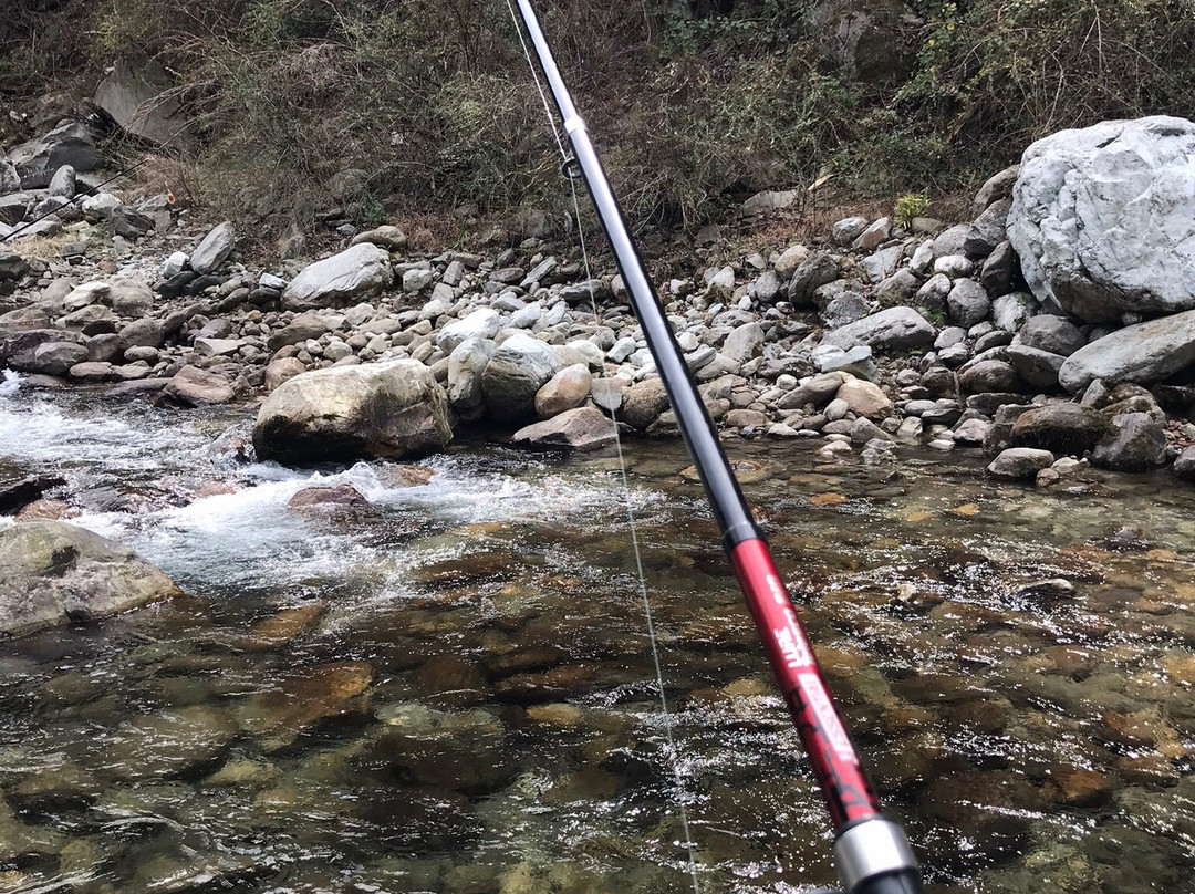 Tirthan Anglers' Retreat主图