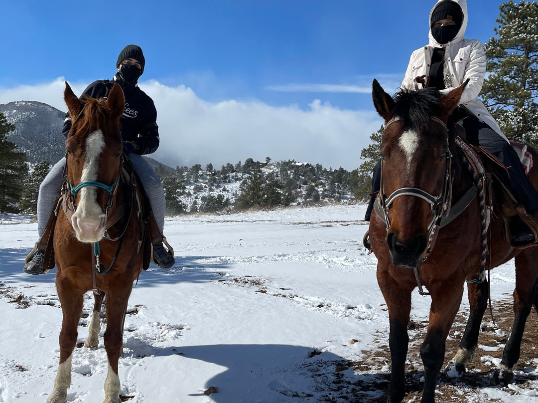 Elkhorn Stables-埃斯蒂斯公园必去景点