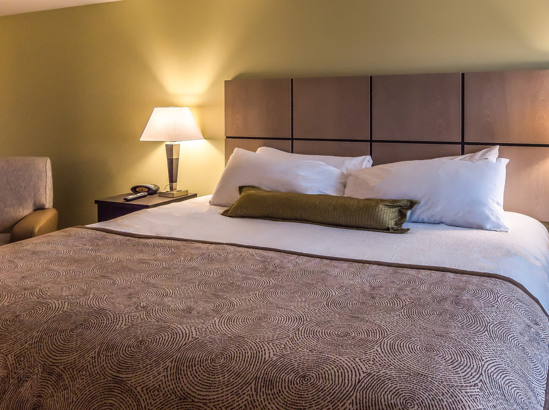 Candlewood Suites Gonzales - Baton Rouge Area by IHG主图