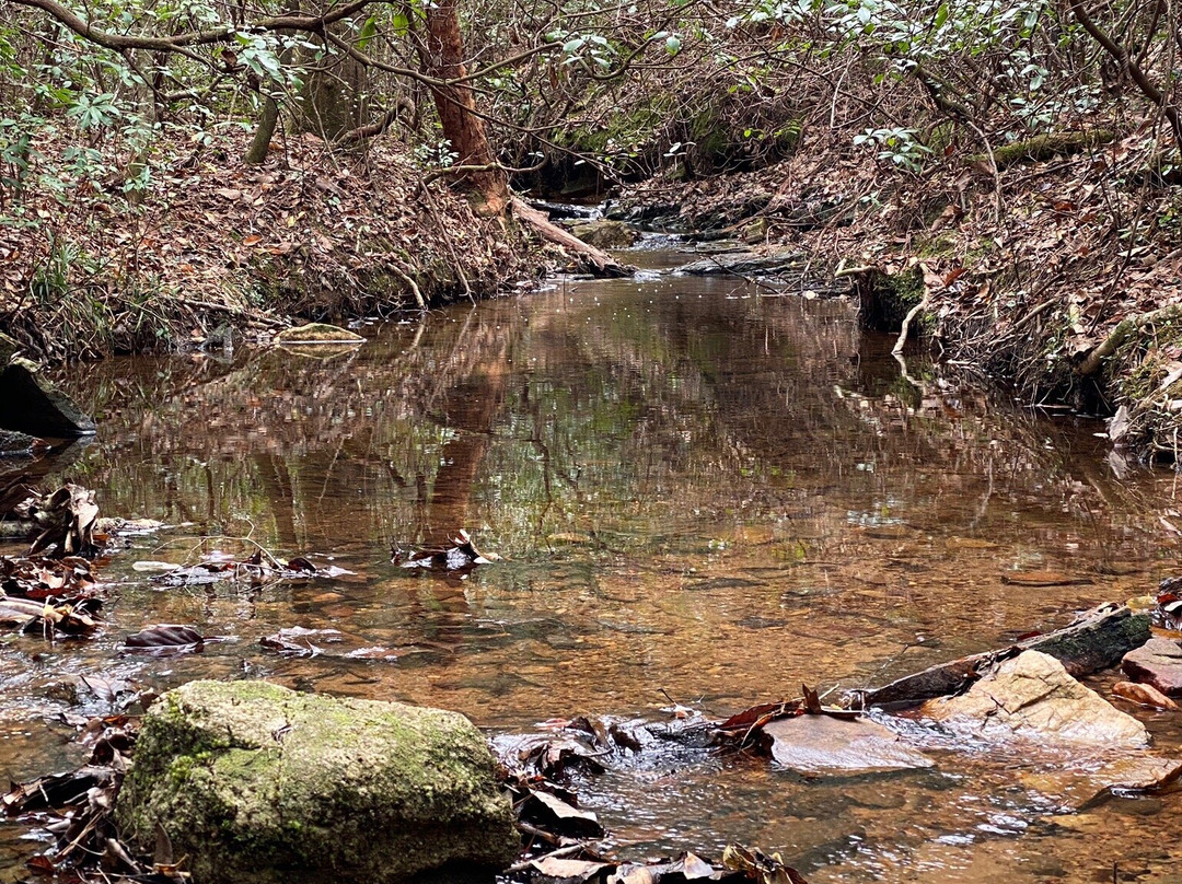 Franklin D. Roosevelt State Park-Pine Mountain必去景点
