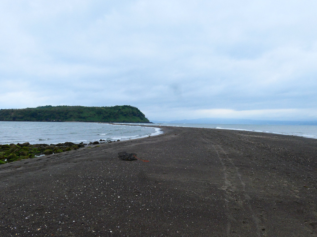 Chiringashima Island景点图片