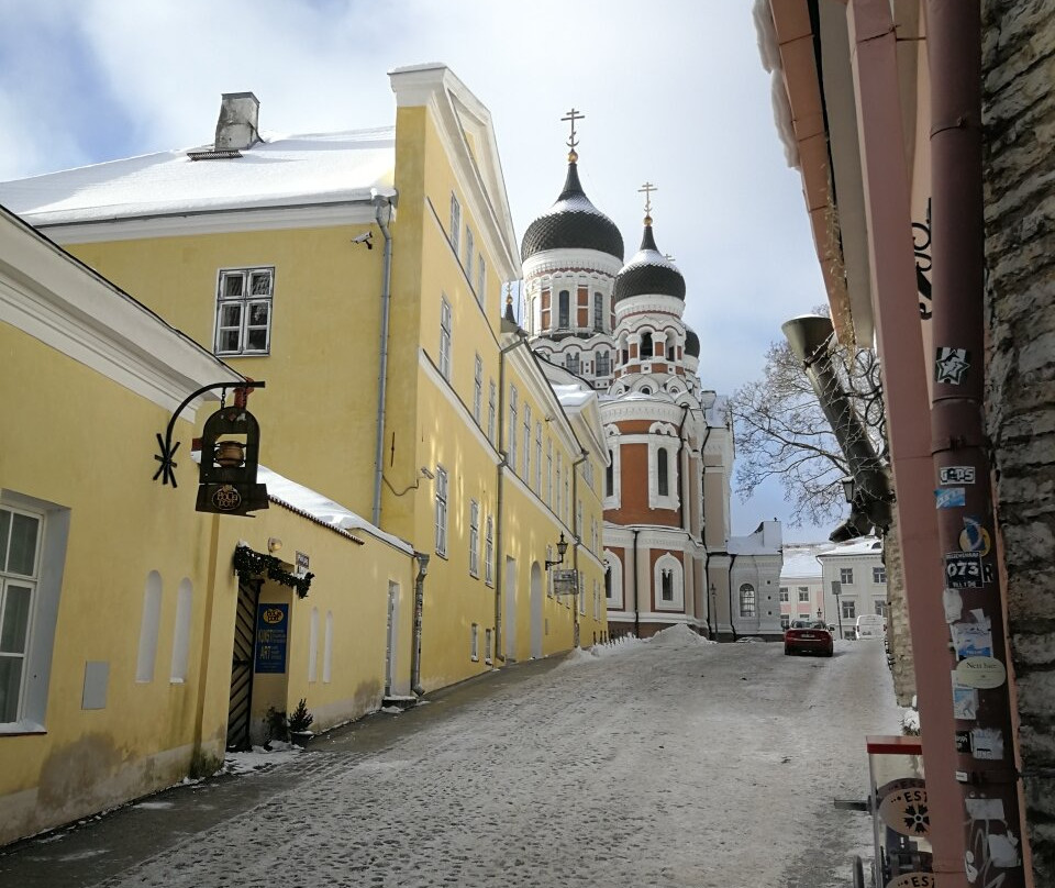 Tallinn Private Tour Guide-塔林必去景点