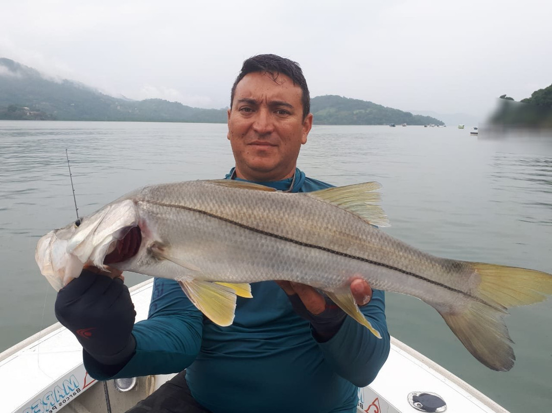 TucunaXperience Pescaria de Tucunarés na represa de Igaratá景点图片